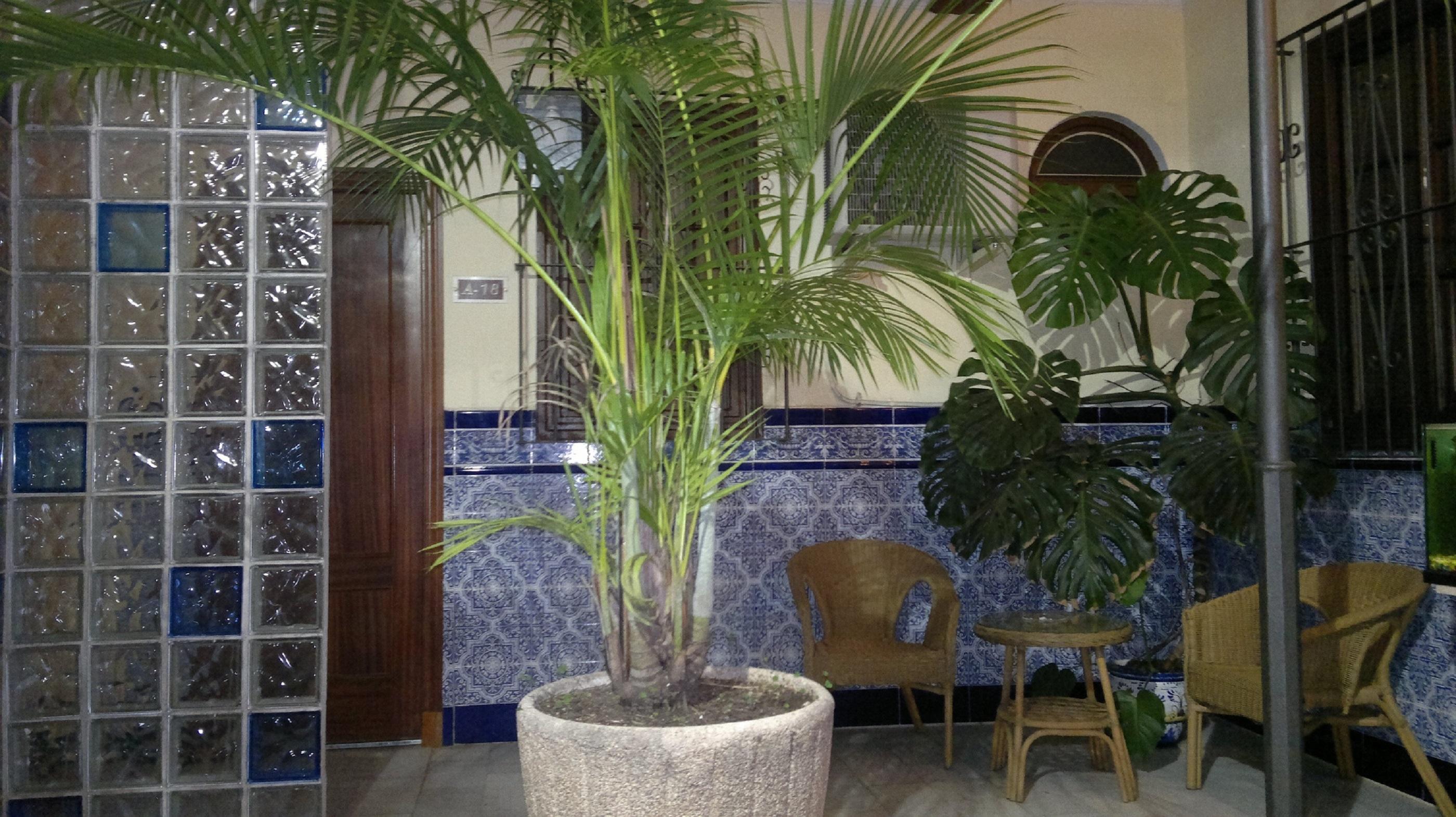 Nova Centro
